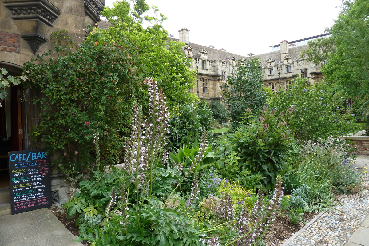 照片 英国(United Kingdom) 剑桥(Cambridge) 2011-07 19