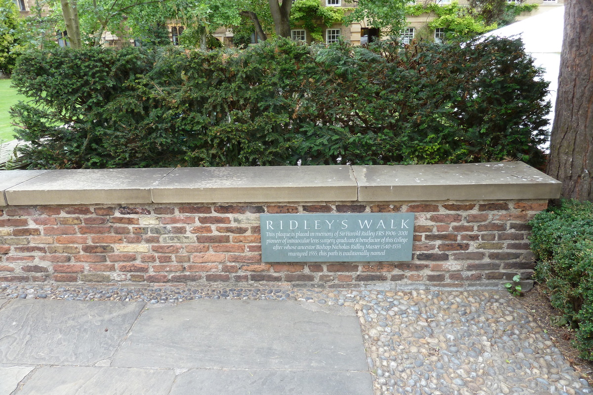 照片 英国(United Kingdom) 剑桥(Cambridge) 2011-07 60