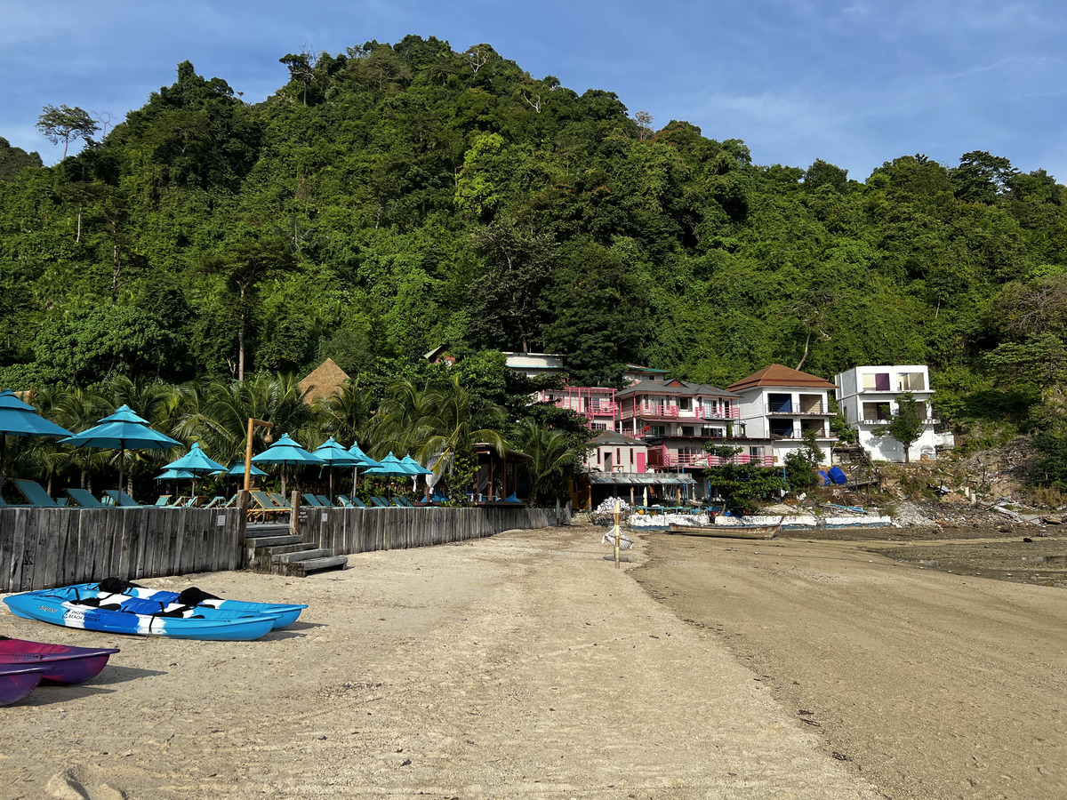 照片 泰国(Thailand) 大皮皮岛(Ko Phi Phi Don) 2021-12 182