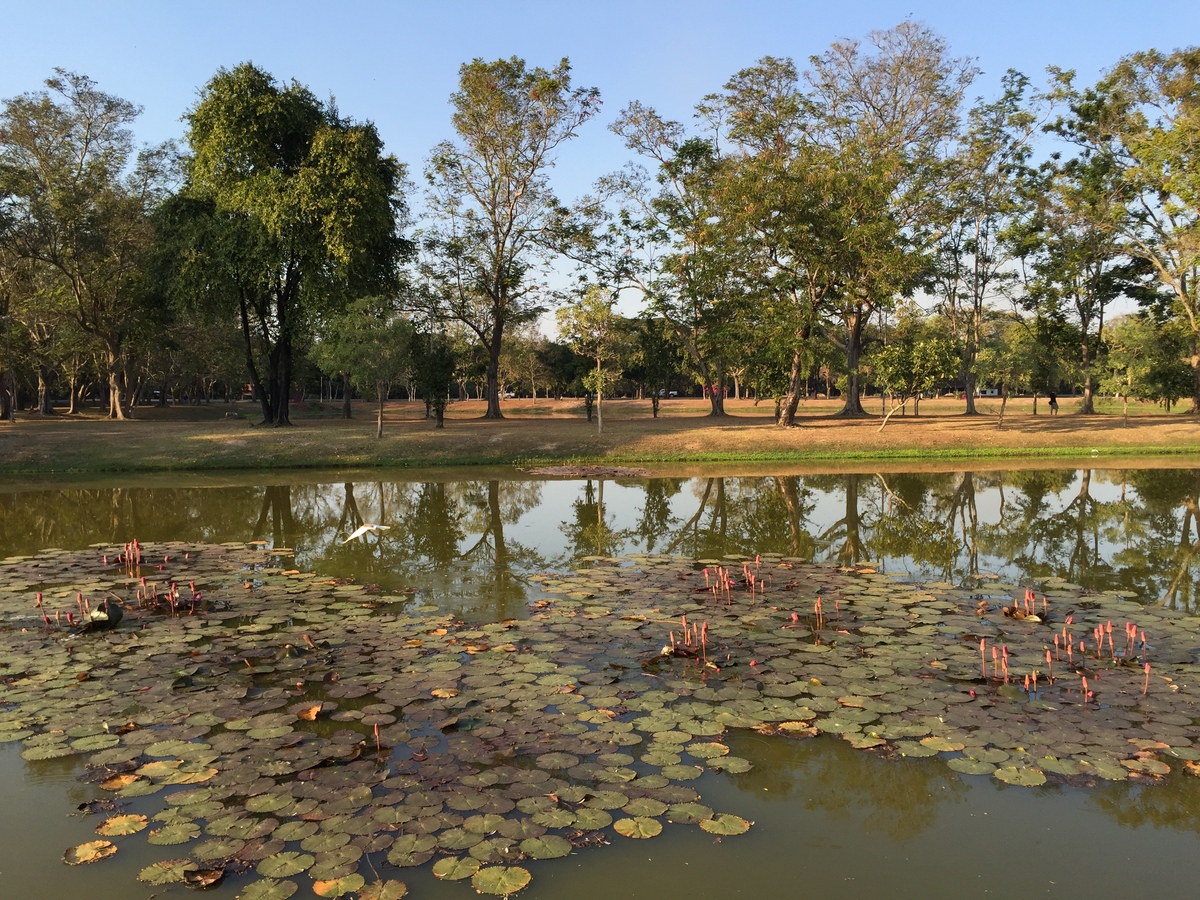 照片 泰国(Thailand) 素可泰(Sukhothai) 2014-12 73