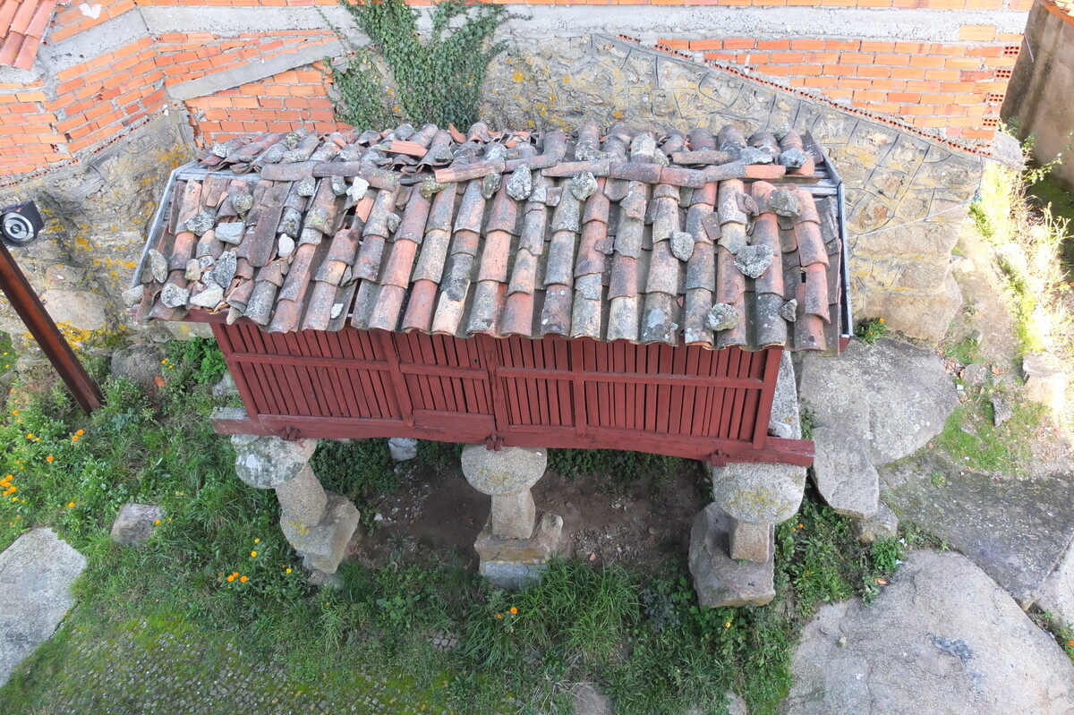 照片 西班牙(Spain) 塞拉诺瓦(Celanova) 2013-01 27