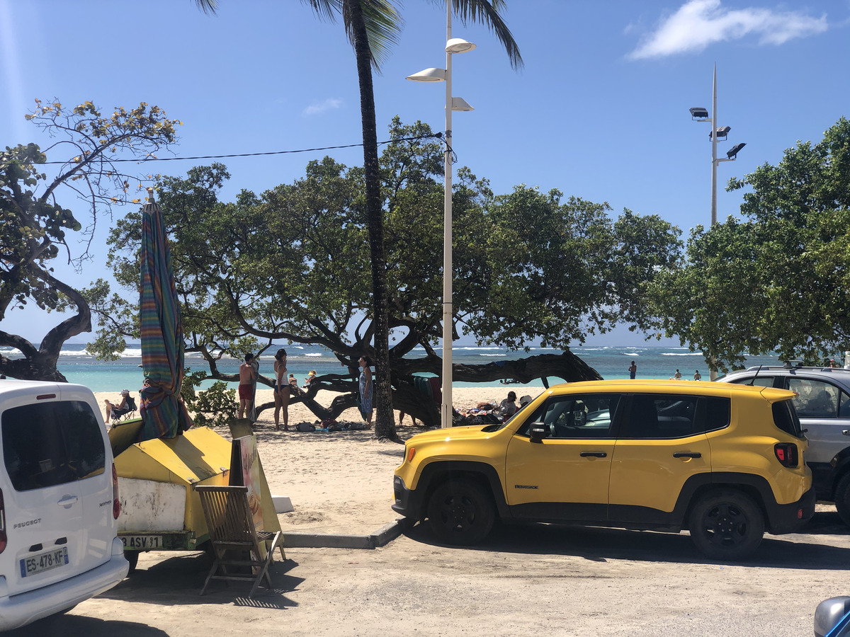 照片 瓜德罗普(Guadeloupe) 圣安妮(Sainte Anne) 2021-02 124