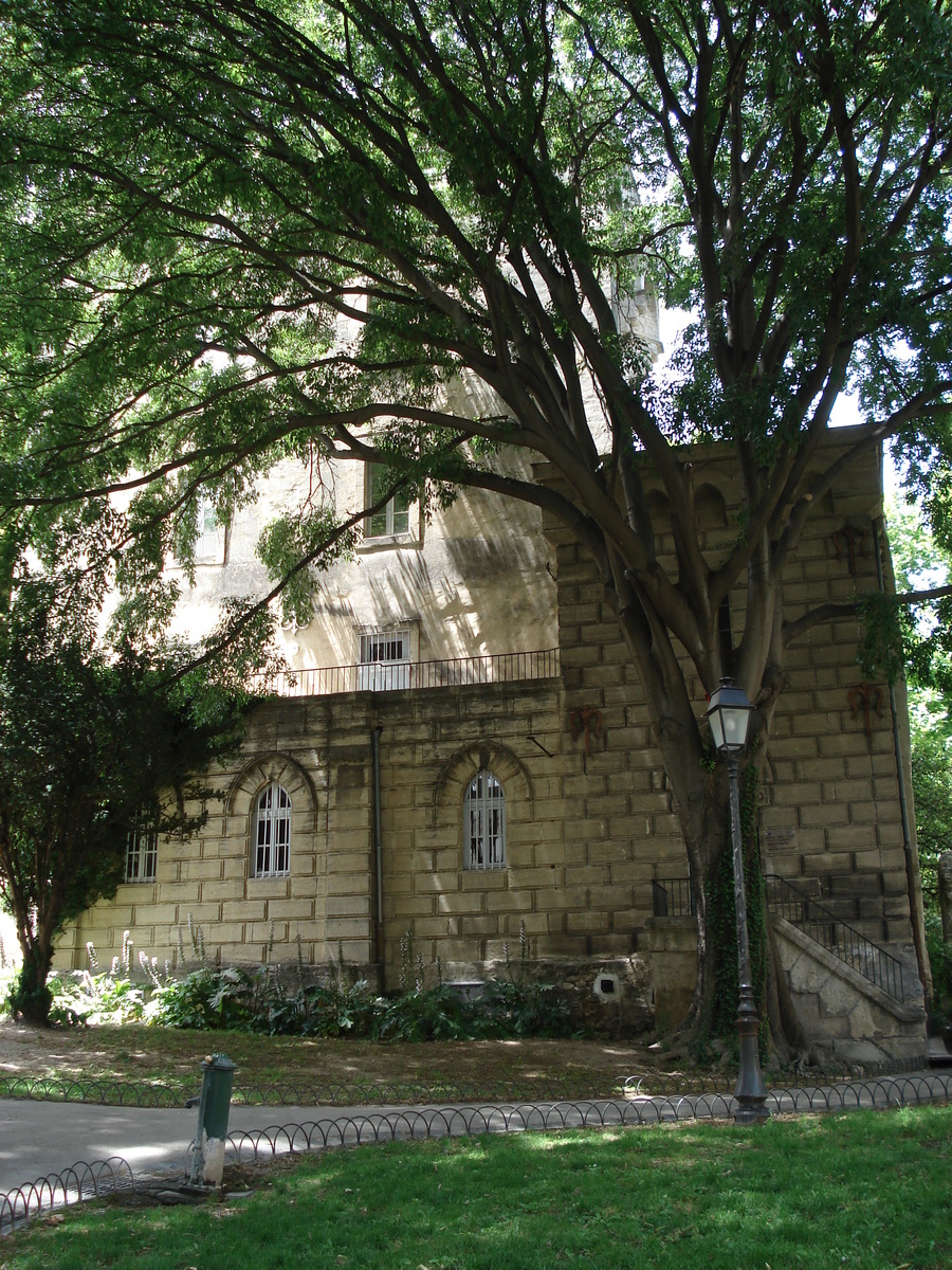 照片 法国(France) 蒙彼利埃(Montpellier) 2006-06 105