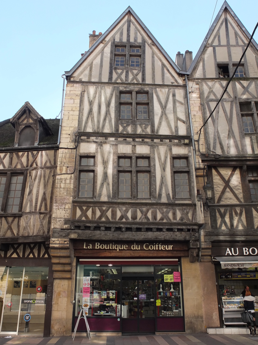 照片 法国(France) 第戎(Dijon) 2012-02 82