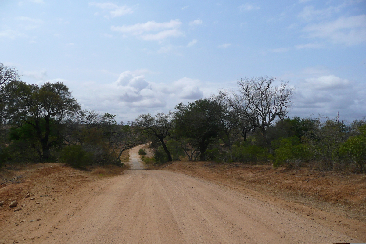 照片 南非(South Africa) 克鲁格国家公园(Kruger National Park) 鳄鱼河公路(Crocodile River road) 2008-09 56