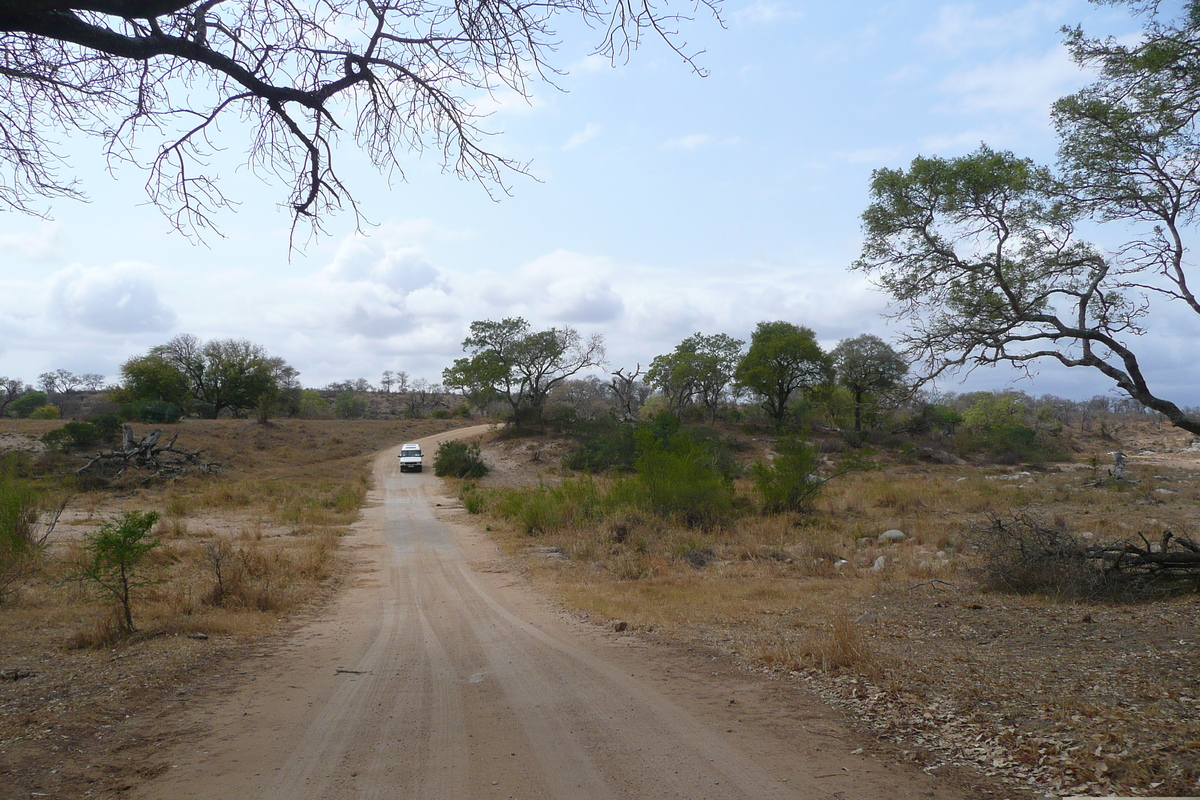 照片 南非(South Africa) 克鲁格国家公园(Kruger National Park) 鳄鱼河公路(Crocodile River road) 2008-09 53