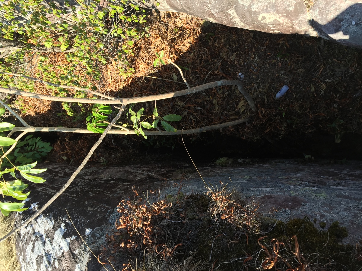照片 泰国(Thailand) 普欣隆卡国家公园(Phu Hin Rong Kla National Park) 2014-12 56