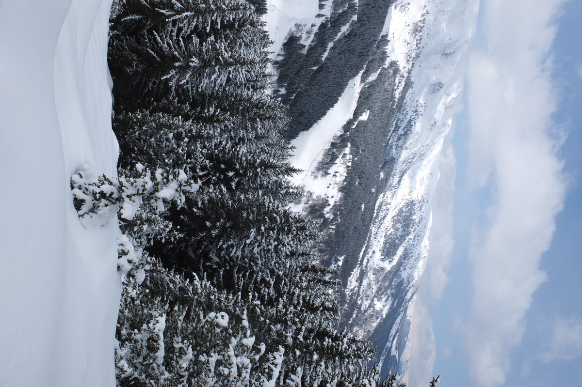 照片 法国(France) 三峡谷滑雪场(Les 3 Vallees) 2013-03 260