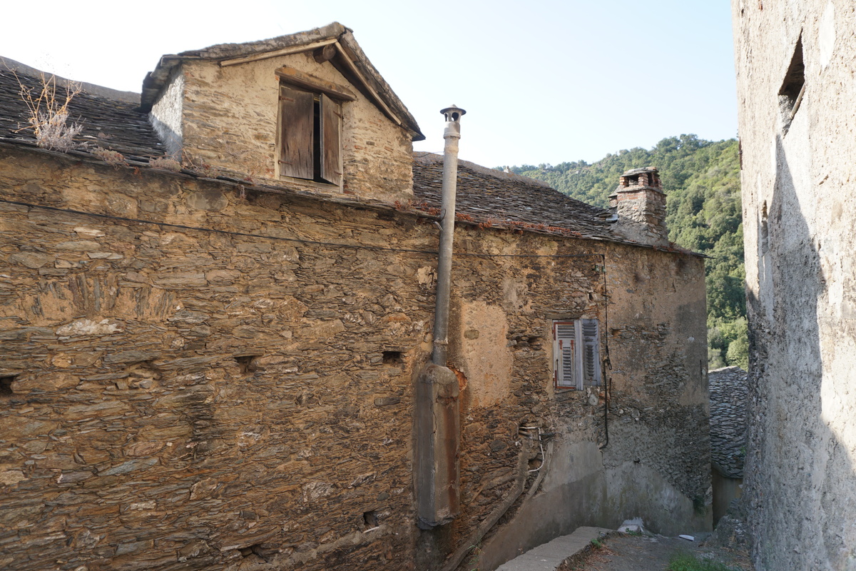 照片 法国(France) 科西嘉岛(Corsica) 韦斯科瓦托(Vescovato) 2017-09 26