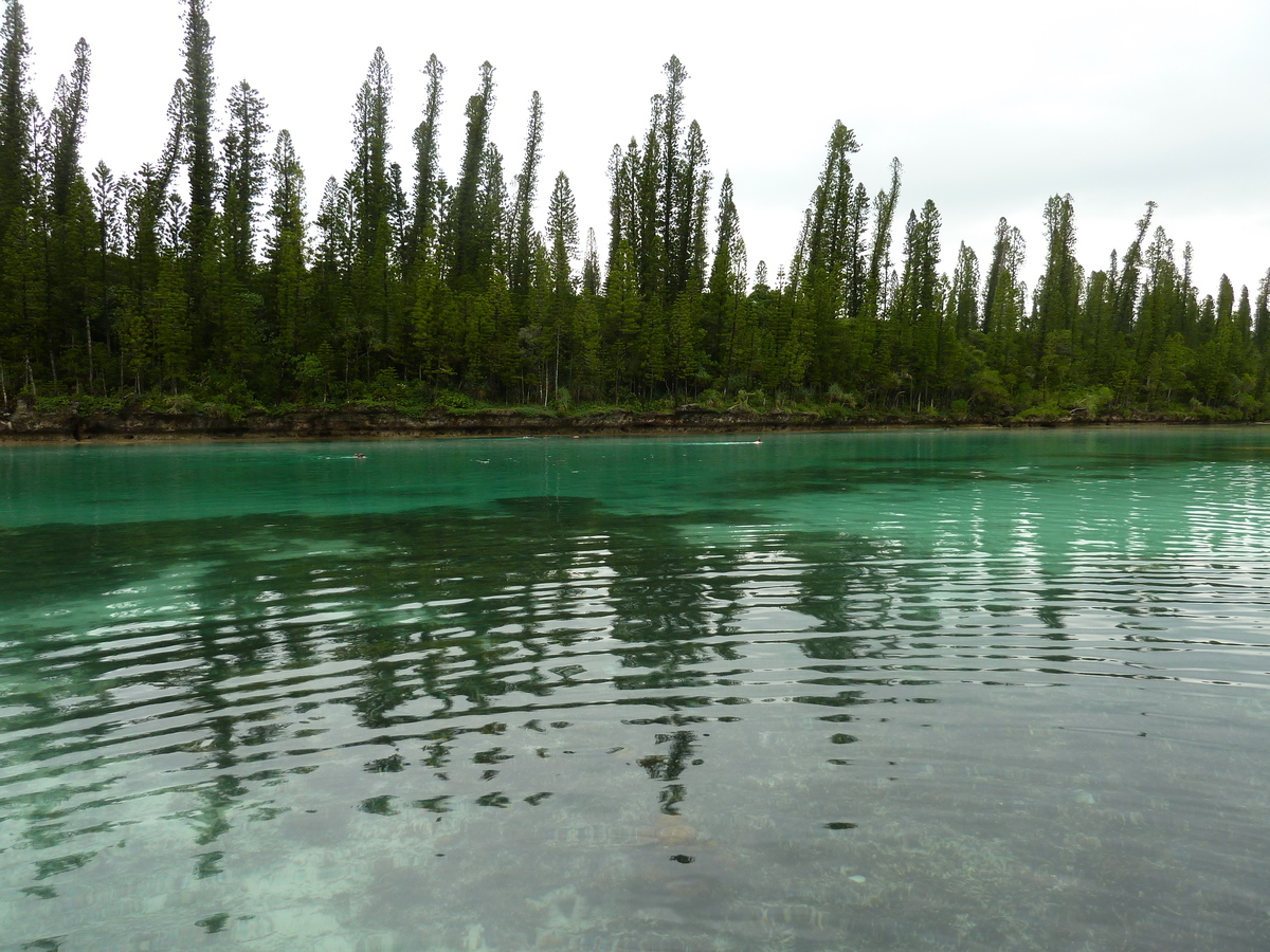 照片 新喀里多尼亚(New Caledonia) 松树岛(Ile des pins) 奥罗湾(Oro Bay) 2010-05 88