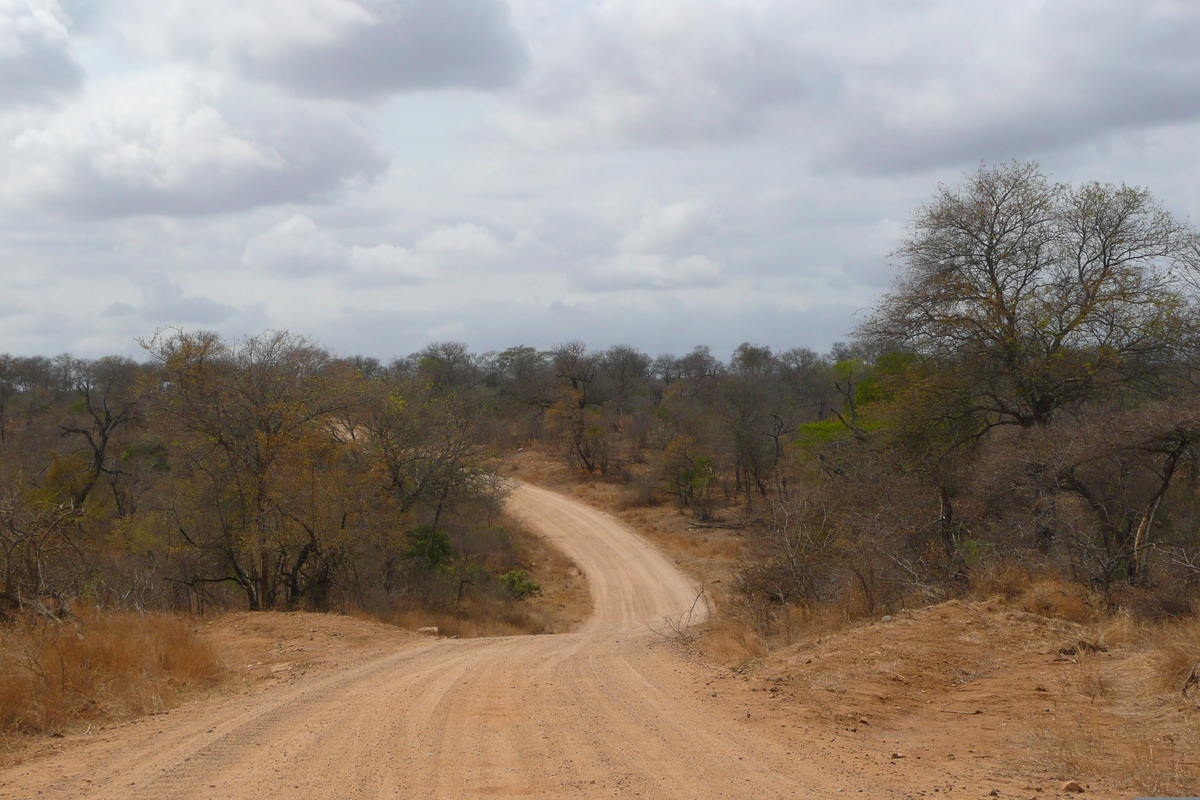 照片 南非(South Africa) 克鲁格国家公园(Kruger National Park) 鳄鱼河公路(Crocodile River road) 2008-09 4