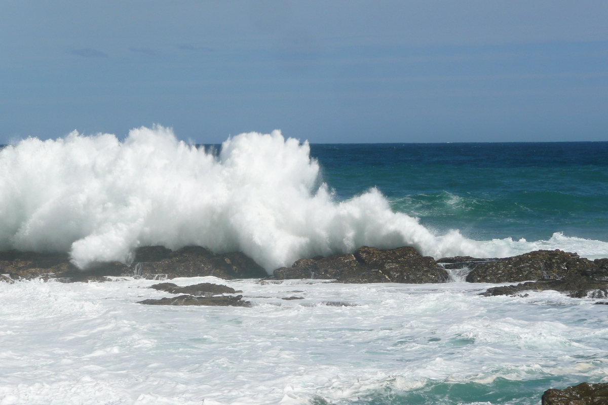 照片 南非(South Africa) 齐齐卡马国家公园(Tsitsikamma National Park) 2008-09 364
