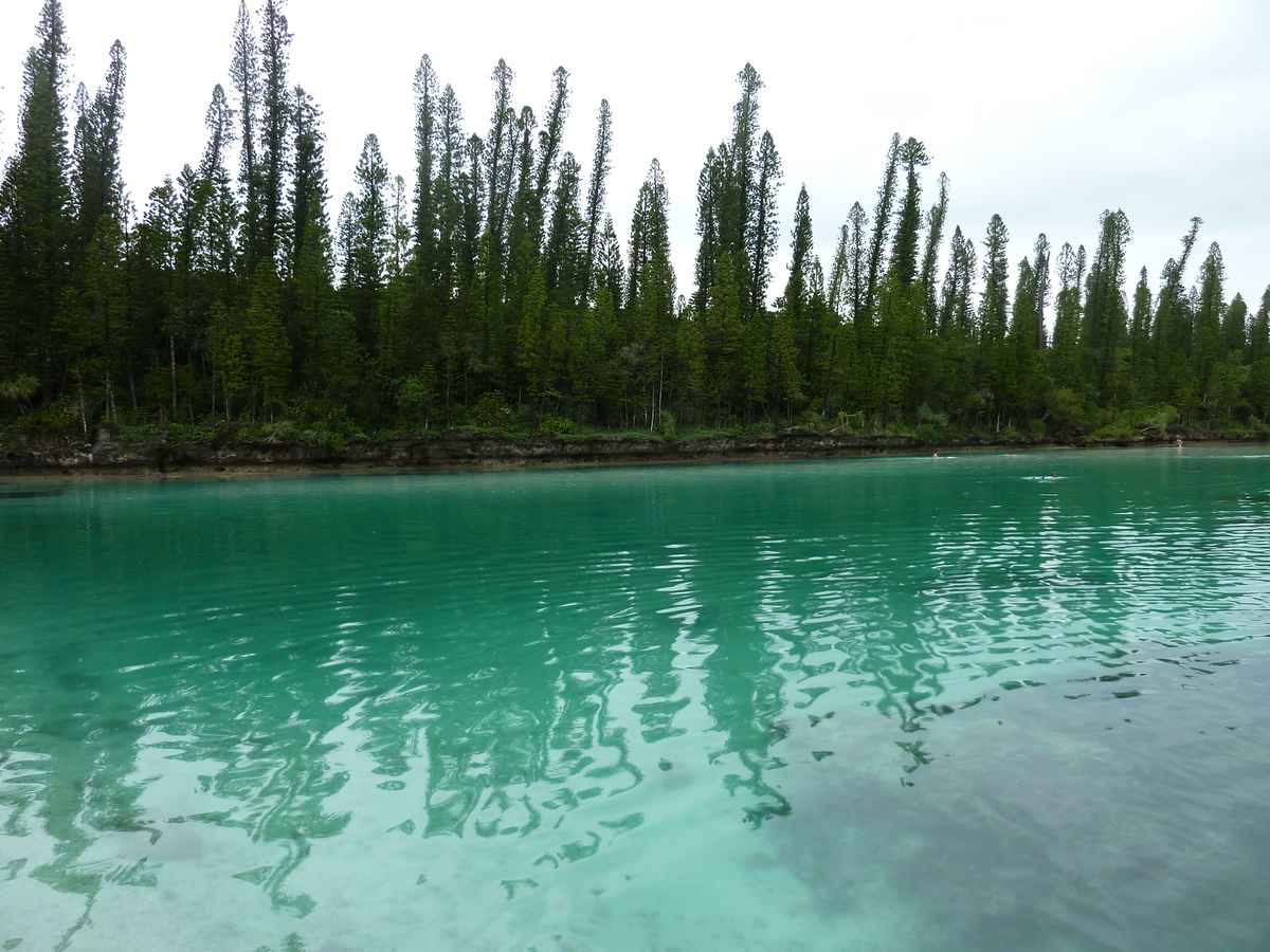 照片 新喀里多尼亚(New Caledonia) 松树岛(Ile des pins) 奥罗湾(Oro Bay) 2010-05 76