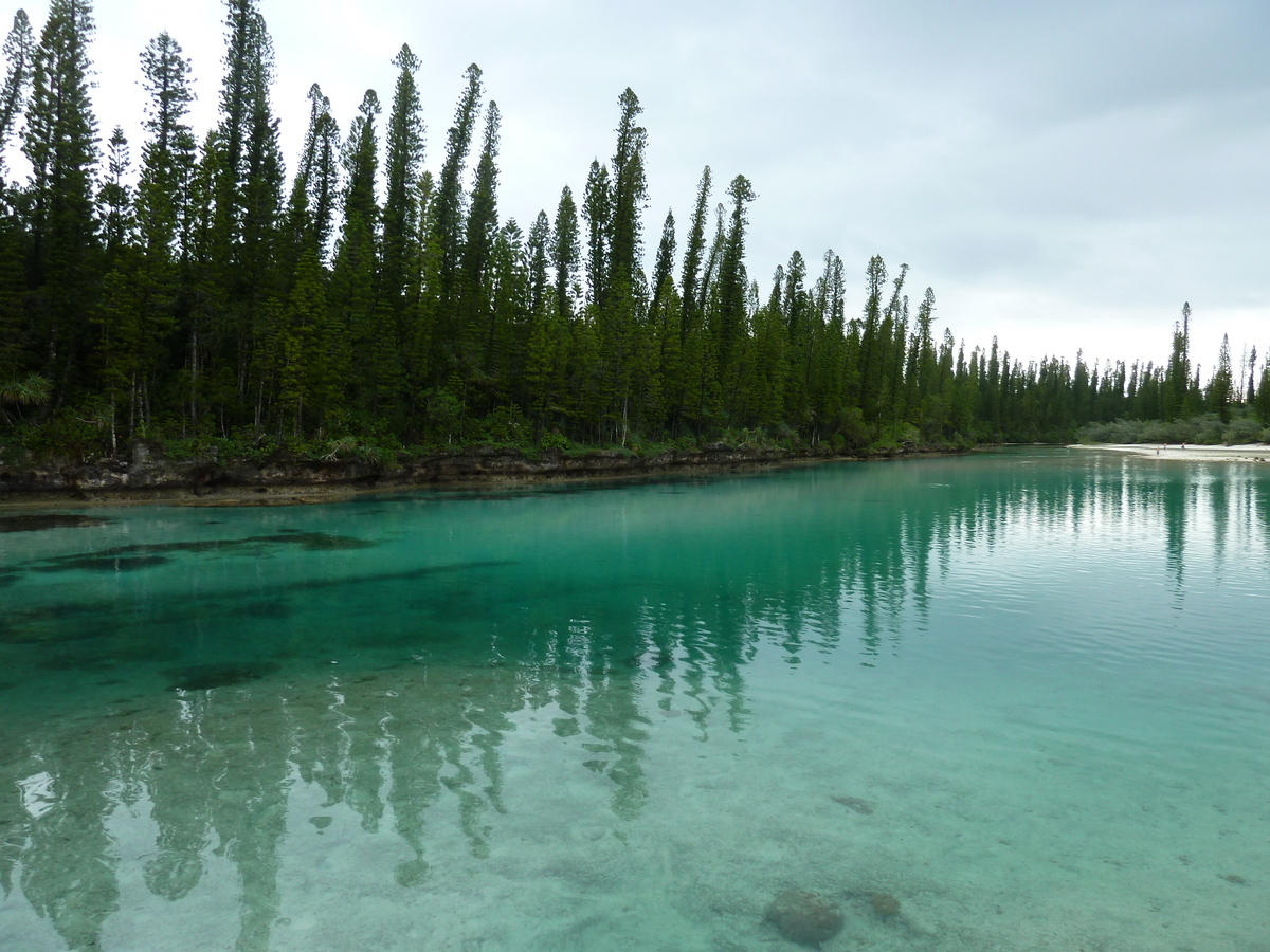 照片 新喀里多尼亚(New Caledonia) 松树岛(Ile des pins) 奥罗湾(Oro Bay) 2010-05 20
