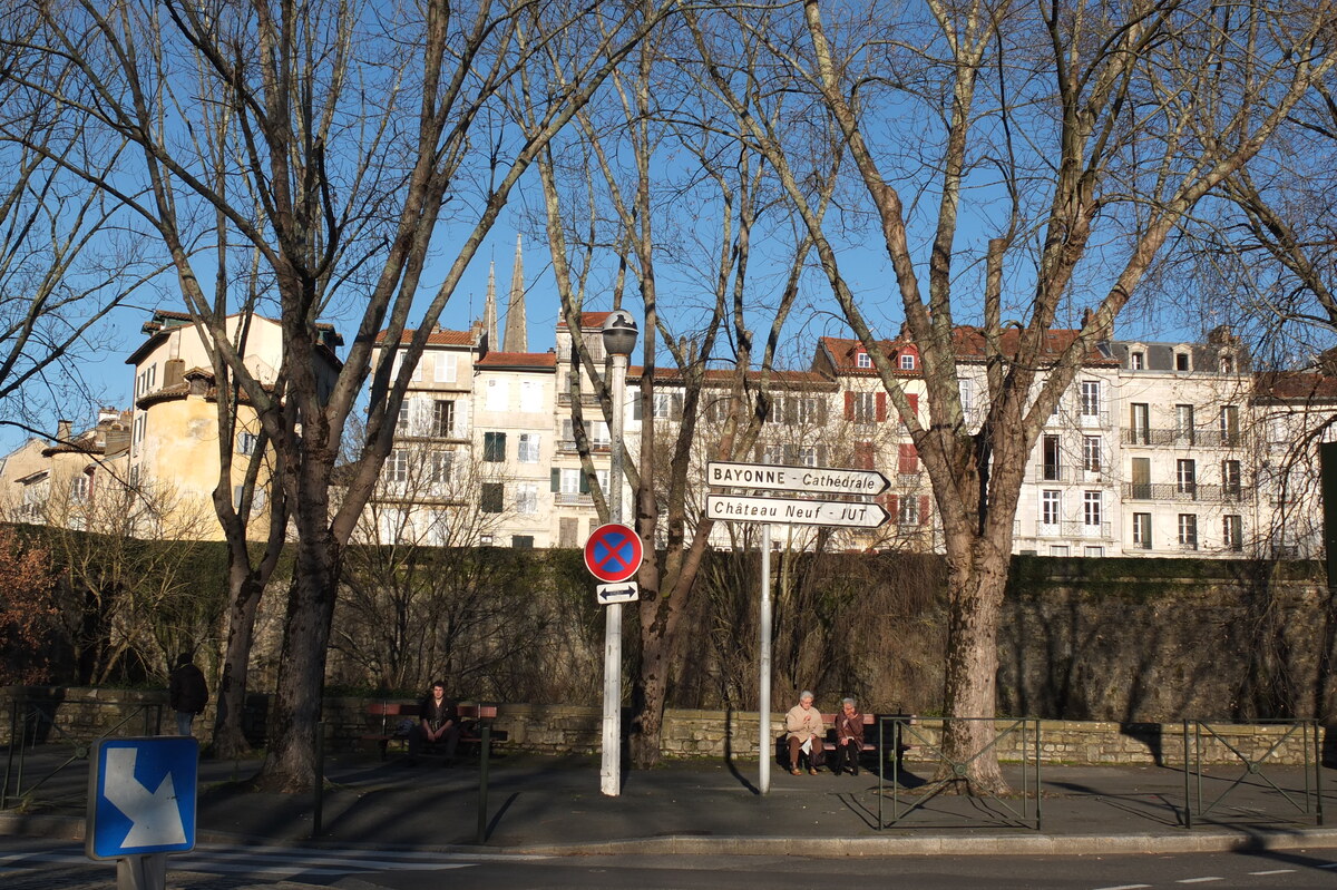 照片 法国(France) 巴约讷(Bayonne) 2013-01 16
