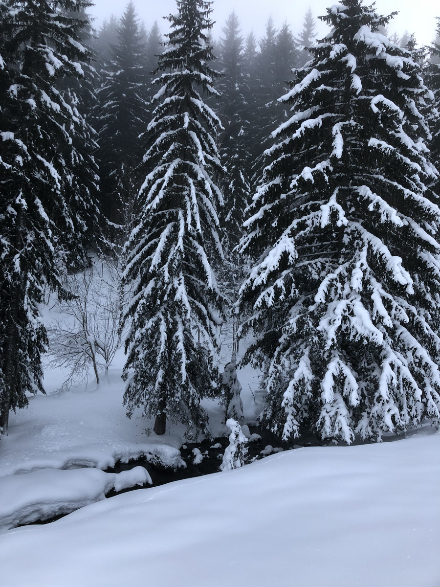 照片 法国(France) 拉克吕萨(La Clusaz) 2017-12 213