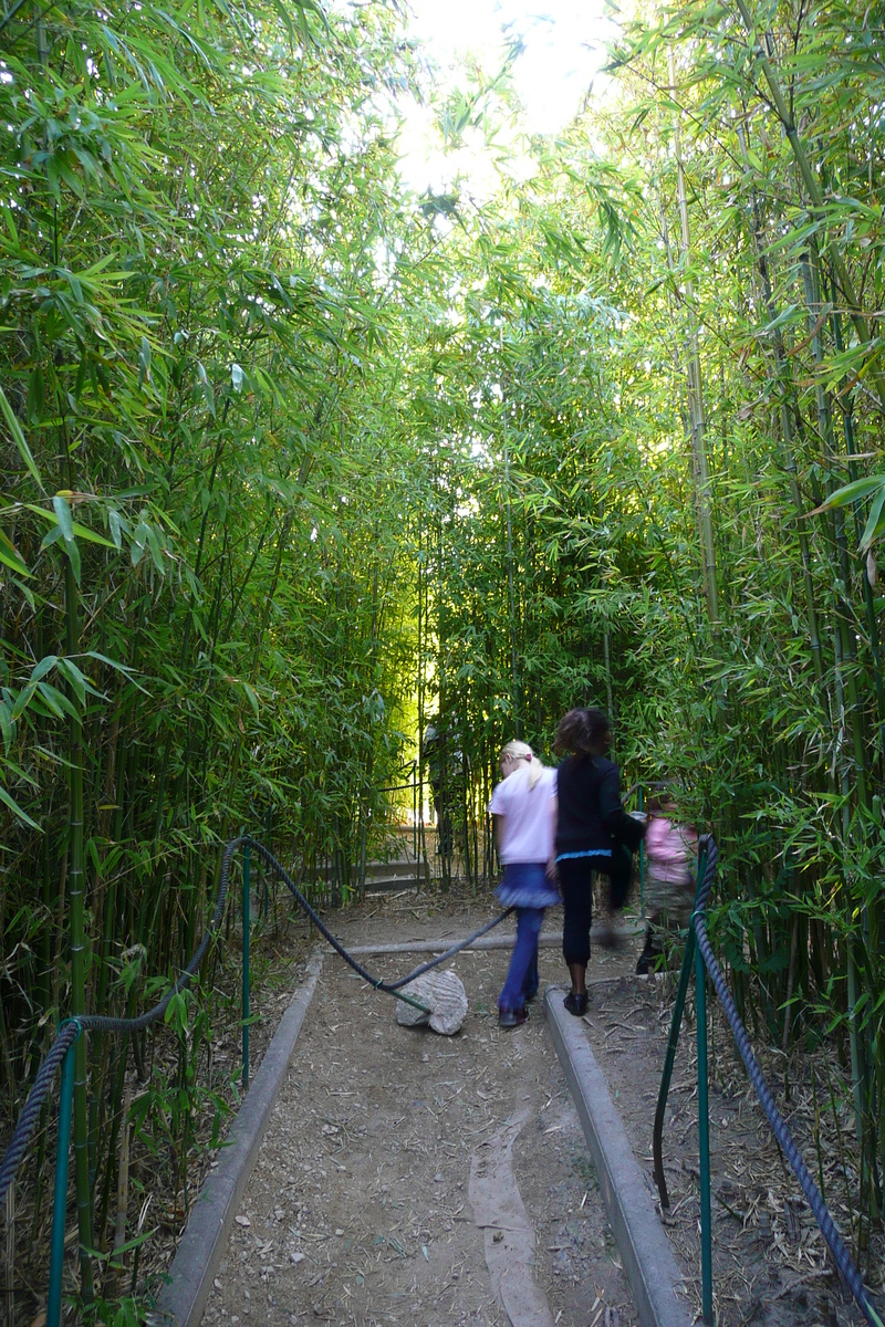 照片 法国(France) 尼斯(Nice) 凤凰公园(Phoenix Parc) 2007-10 70