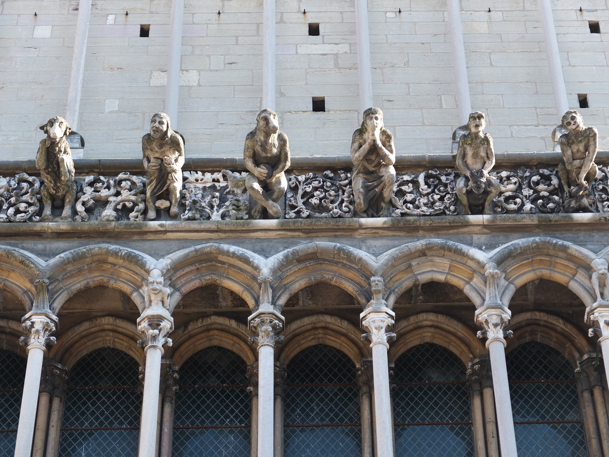 照片 法国(France) 第戎(Dijon) 2012-02 54