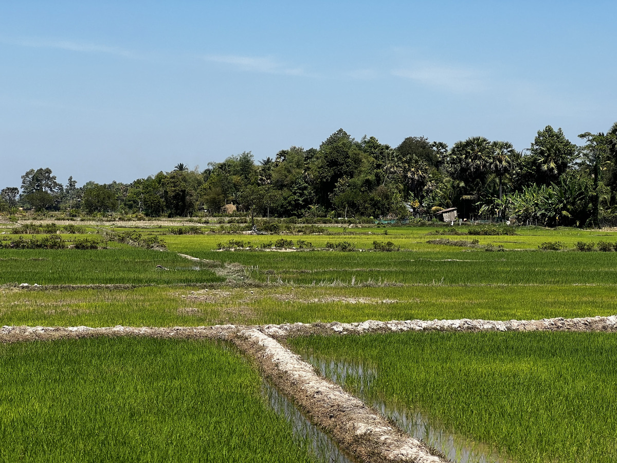 照片 柬埔寨(Cambodia) 暹粒(Siem Reap) 2023-01 155