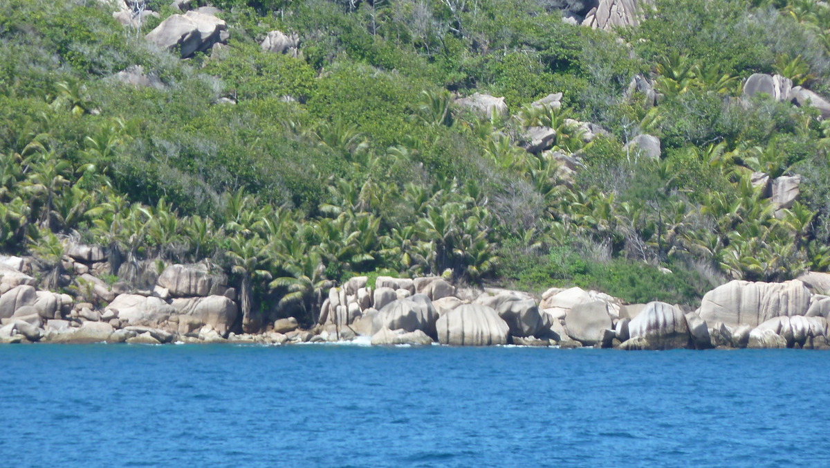 照片 塞舌尔(Seychelles) 大姐妹岛(Grande Soeur) 2011-10 71
