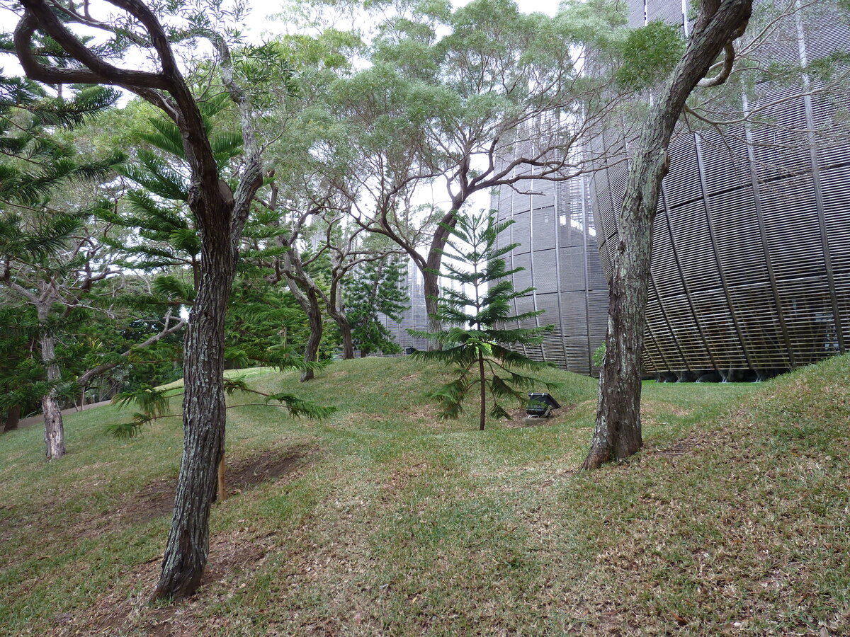 照片 新喀里多尼亚(New Caledonia) 吉巴欧文化中心(Tjibaou Cultural Centre) 2010-05 45