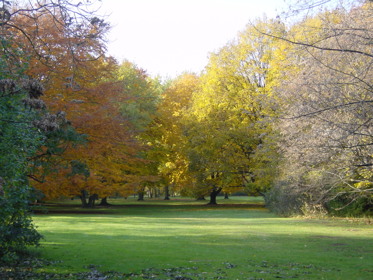 照片 德国(Germany) 柏林(Berlin) 2003-11 44