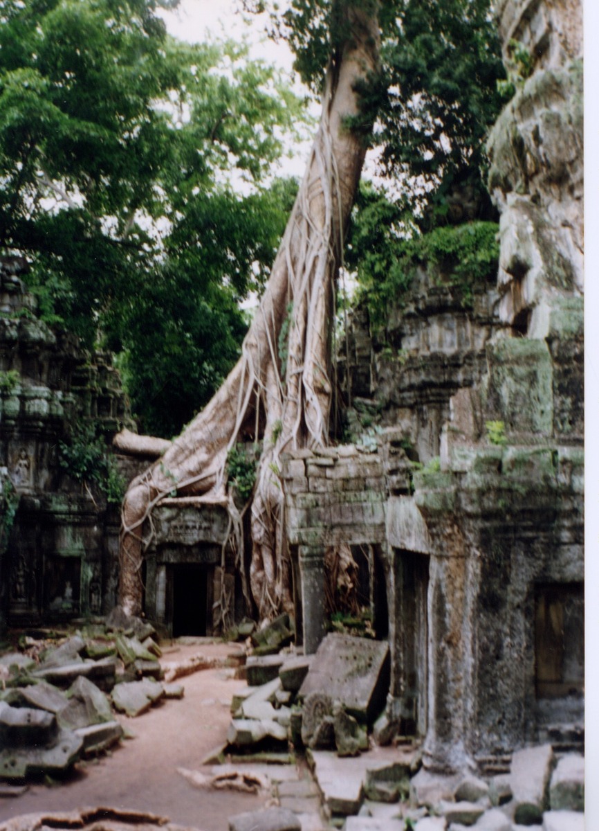 照片 柬埔寨(Cambodia) 吴哥(Angkor) 1996-06 23