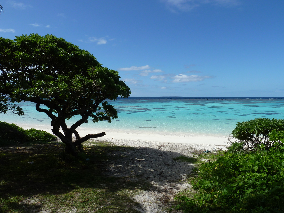 照片 新喀里多尼亚(New Caledonia) 2010-05 14