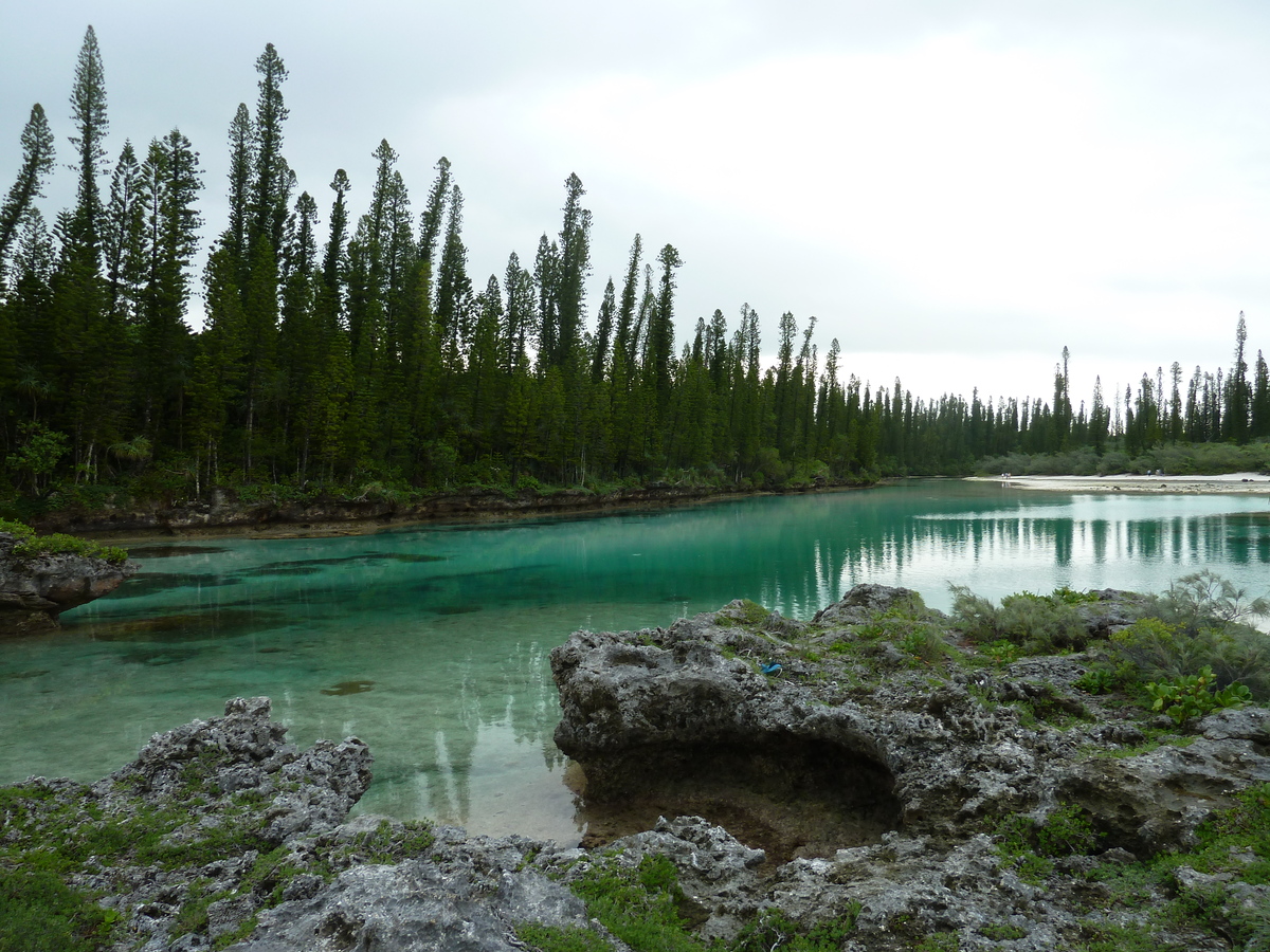 照片 新喀里多尼亚(New Caledonia) 2010-05 20