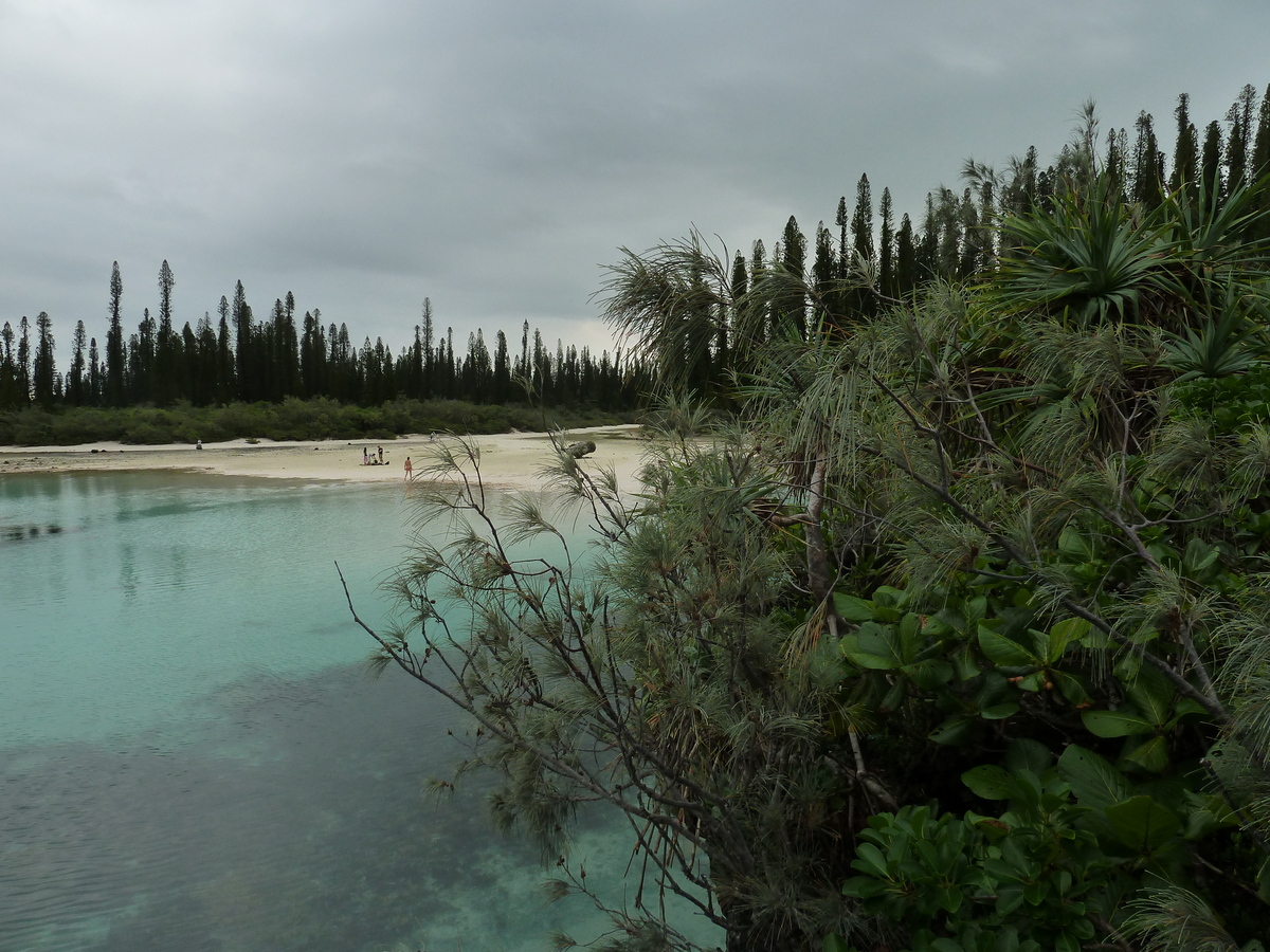 照片 新喀里多尼亚(New Caledonia) 松树岛(Ile des pins) 奥罗湾(Oro Bay) 2010-05 89