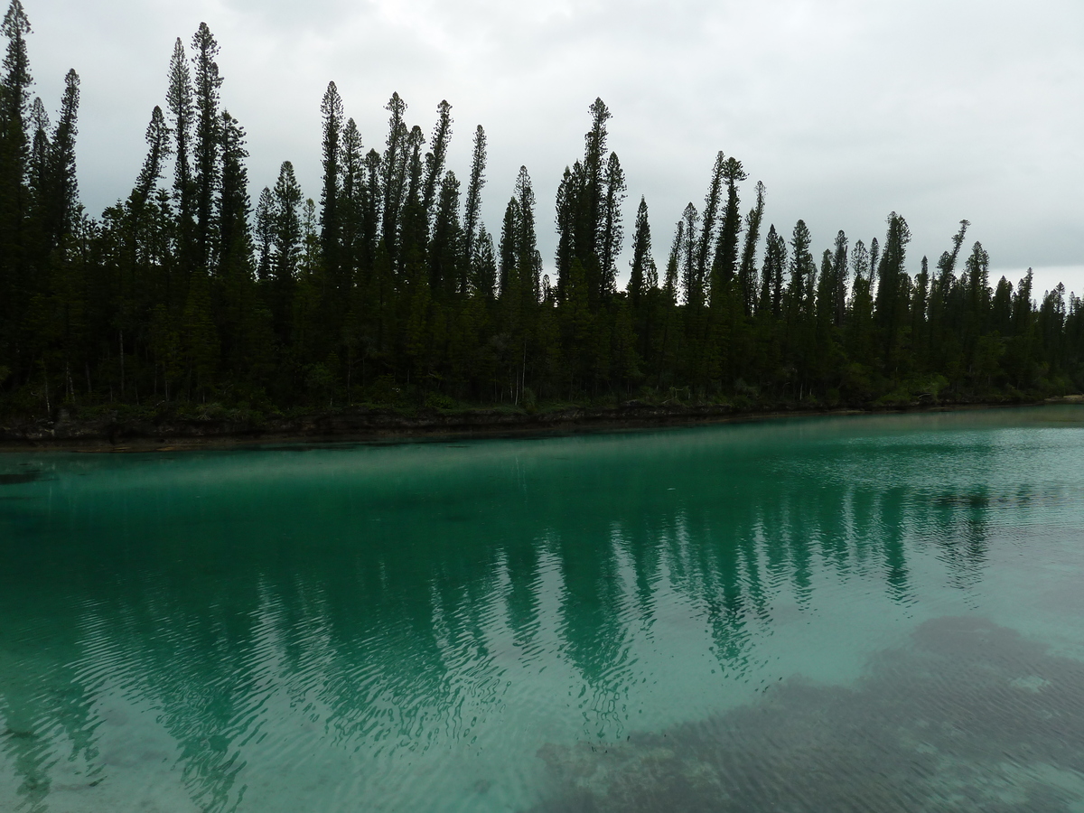 照片 新喀里多尼亚(New Caledonia) 松树岛(Ile des pins) 奥罗湾(Oro Bay) 2010-05 78