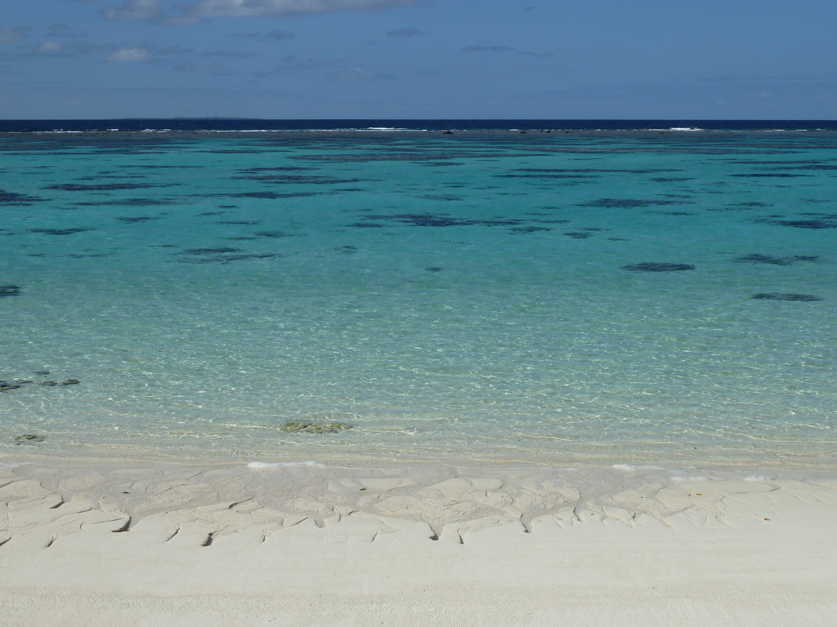 照片 新喀里多尼亚(New Caledonia) 利富岛(Lifou) 穆(Mu) 2010-05 30