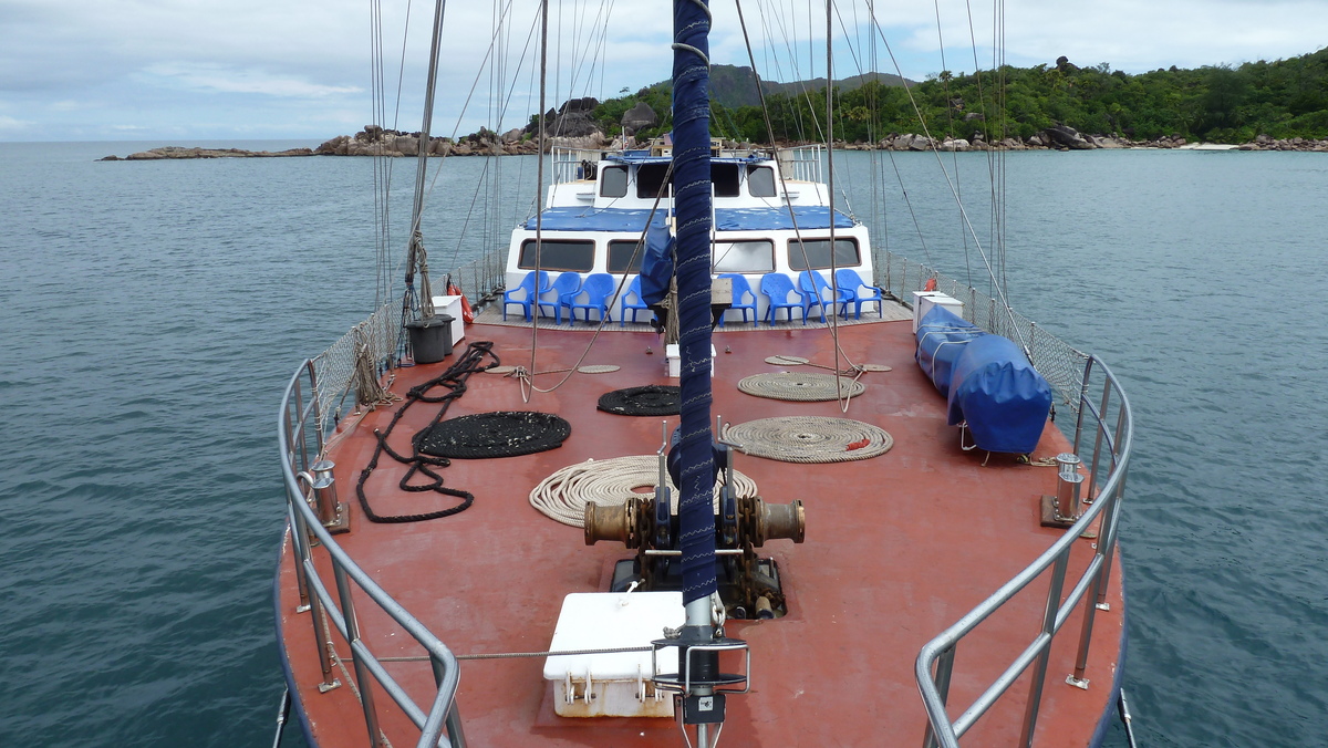 照片 塞舌尔(Seychelles) 海星(Sea Star) 2011-10 64