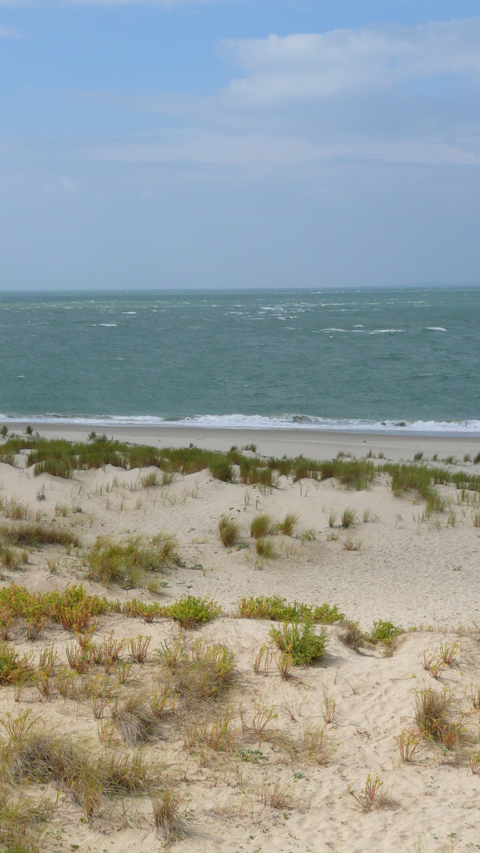 照片 法国(France) 吉伦特河口(Gironde estuary) 2007-08 60