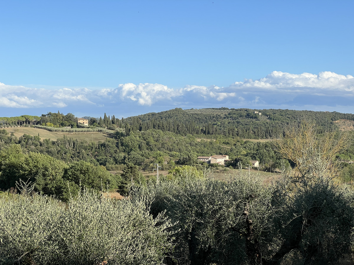 照片 意大利(Italy) 蒙泰里焦尼(Monteriggioni) 2021-09 9