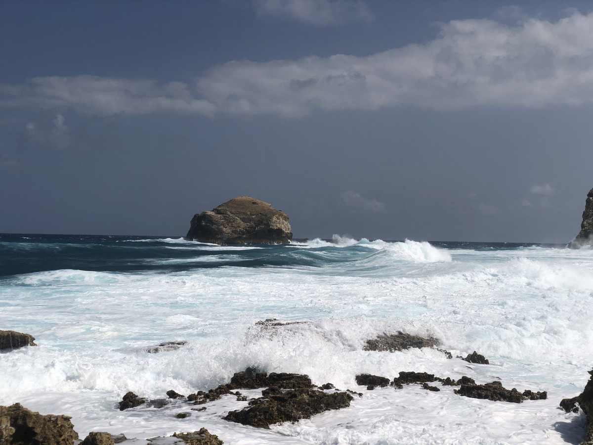 照片 瓜德罗普(Guadeloupe) 城堡角(Castle Point) 2021-02 333
