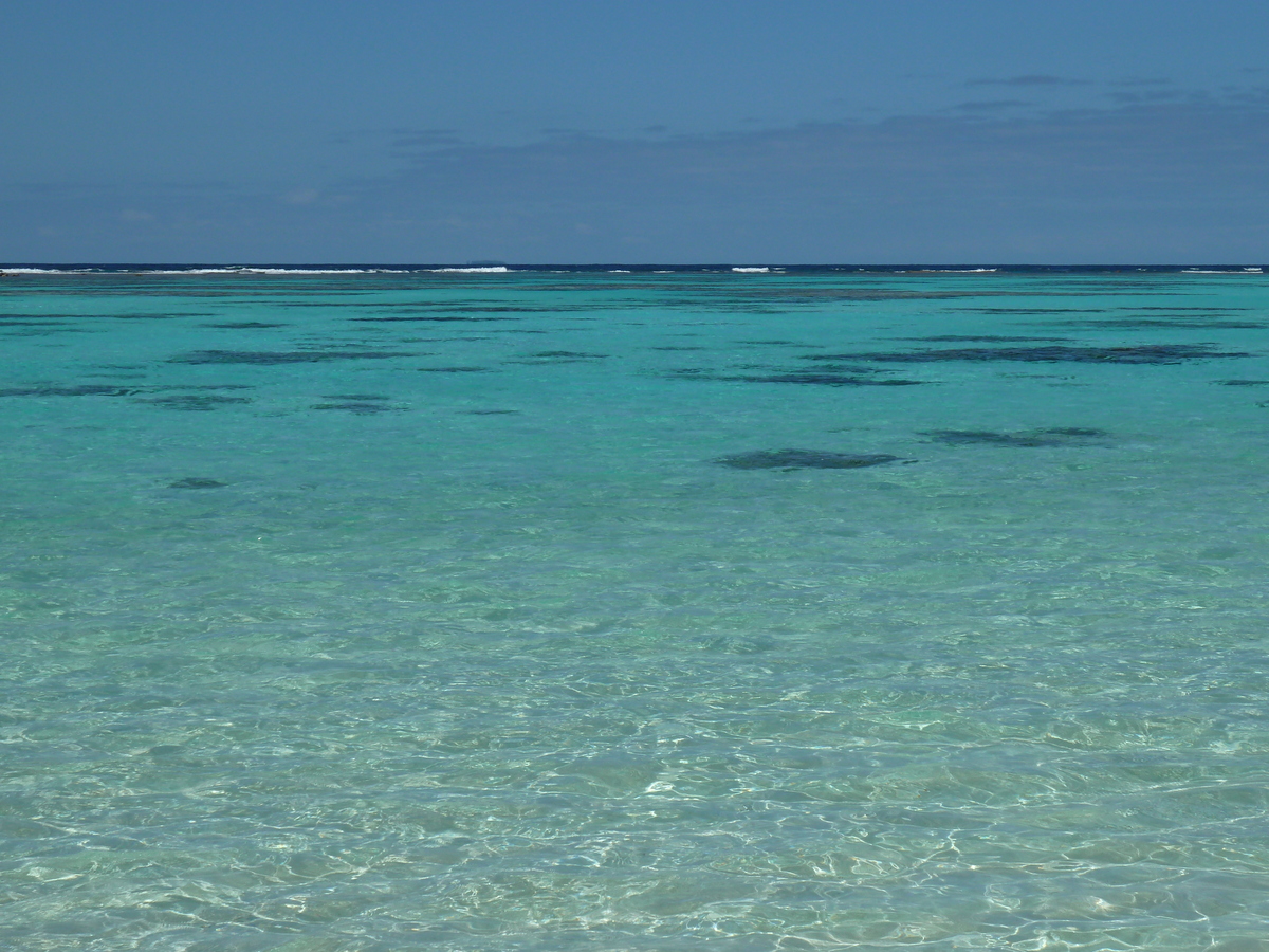 照片 新喀里多尼亚(New Caledonia) 利富岛(Lifou) 穆(Mu) 2010-05 4