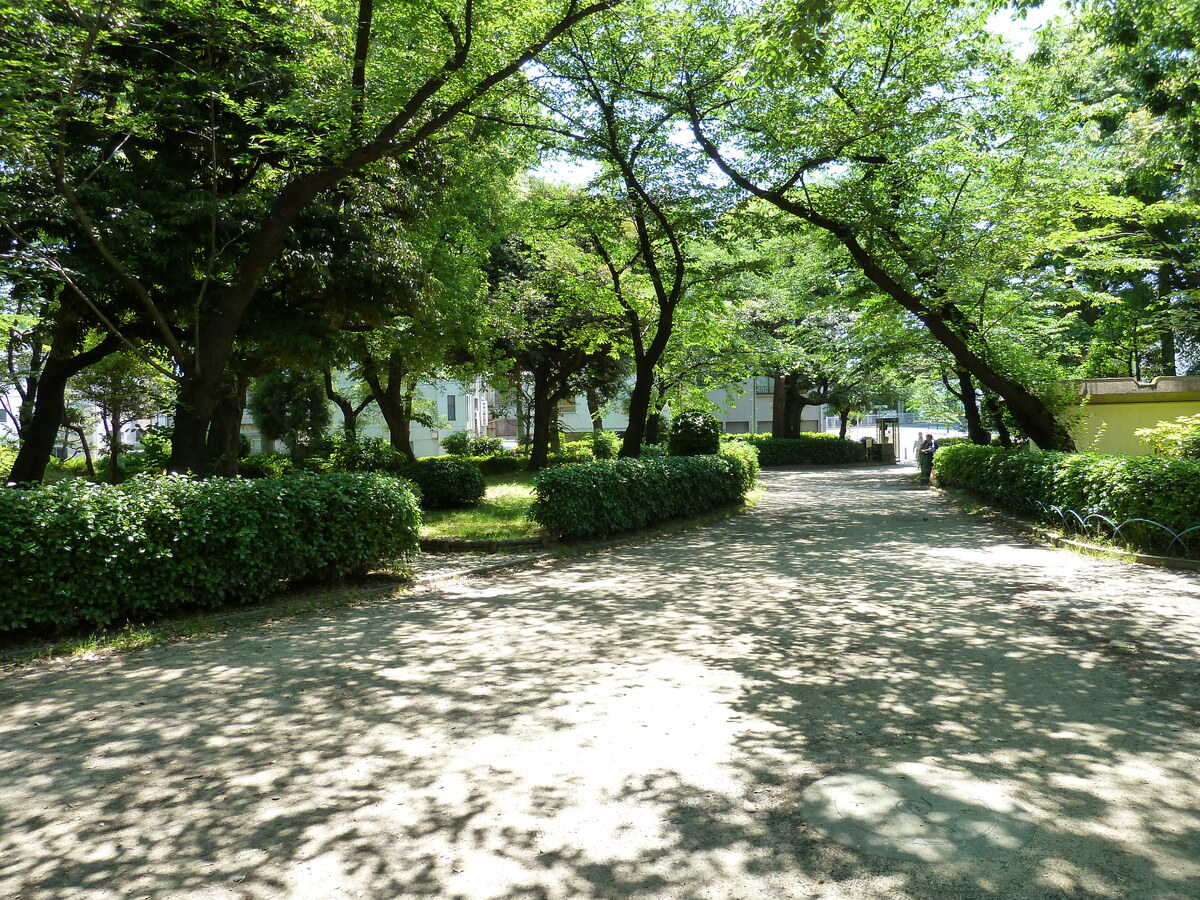 照片 日本(Japan) 东京(Tokyo) 墨田(Sumida) 2010-06 30