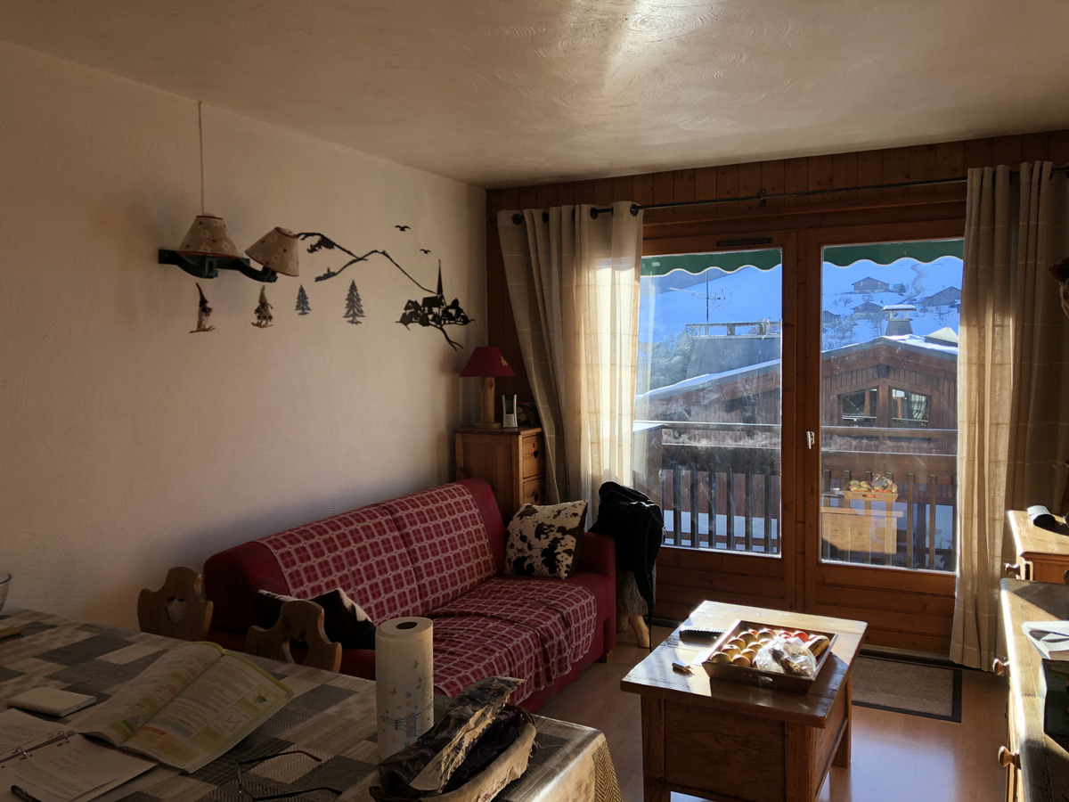 照片 法国(France) 阿尔利河畔普拉(Praz sur Arly) 2019-12 411