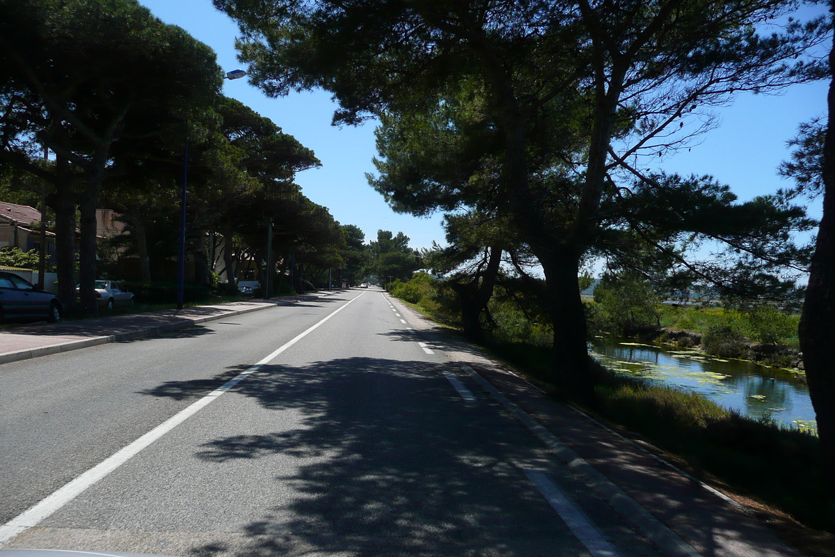 照片 法国(France) 蔚蓝海岸(French Riviera) 耶尔半岛(Hyeres peninsula) 2008-05 17
