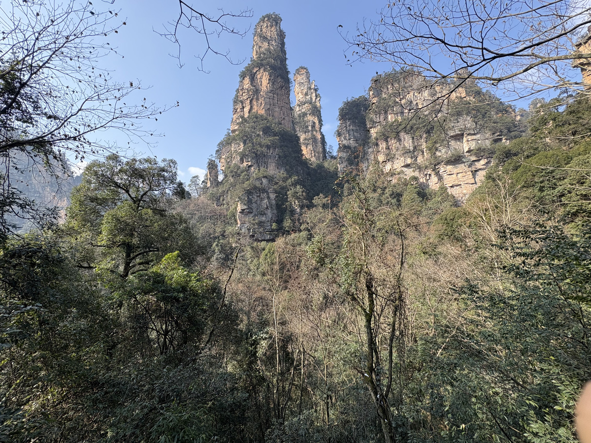 照片 中国(China) 张家界(Zhangjiajie) 天子山(Tianzi Mountain) 2026-01 296