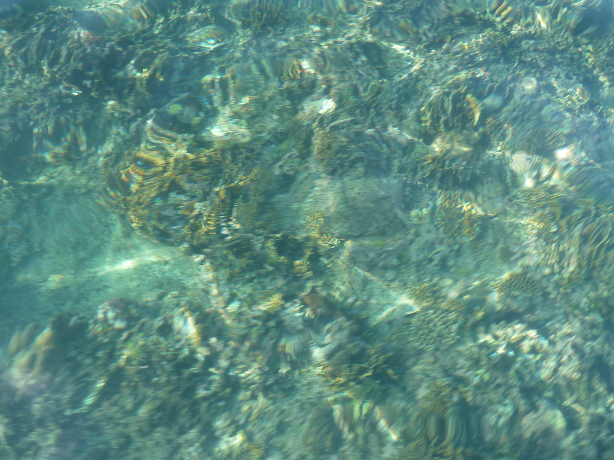 照片 斐济(Fiji) 阿穆努卡岛至漂流者岛(Amunuca Island to Castaway Island) 2010-05 53