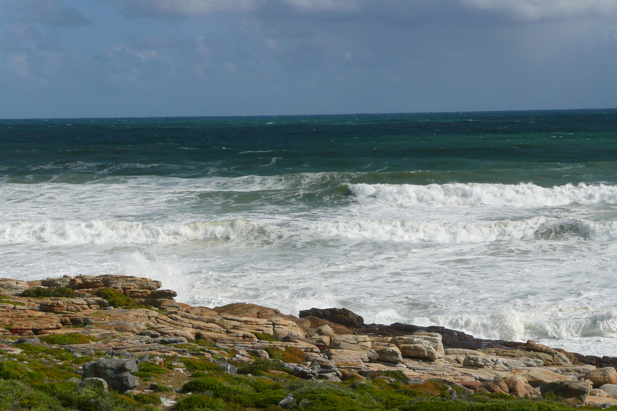 照片 南非(South Africa) 好望角(Cape of Good Hope) 开普角(Cape Point) 2008-09 43