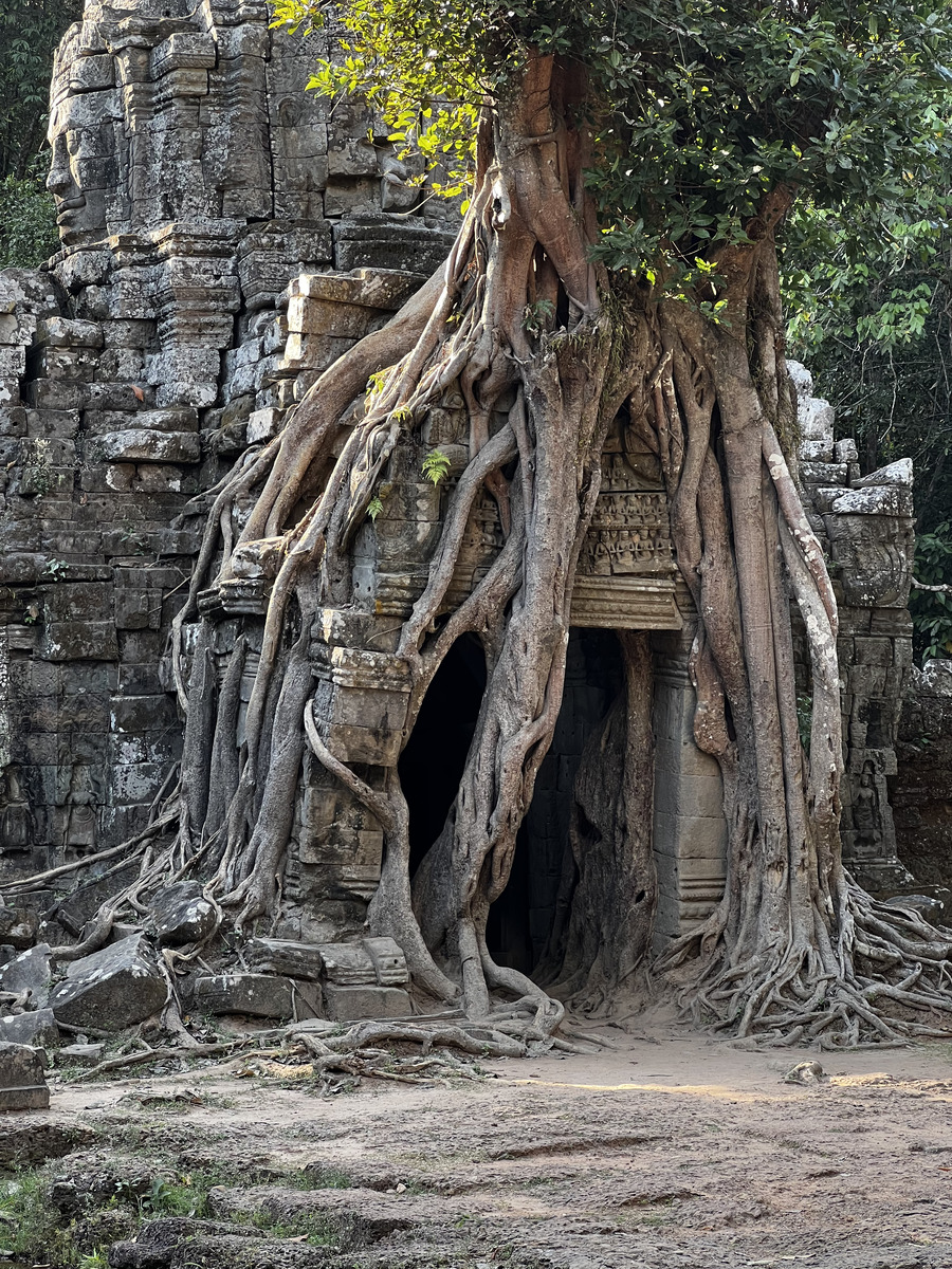 照片 柬埔寨(Cambodia) 暹粒(Siem Reap) 塔松寺(Ta Som) 2023-01 14