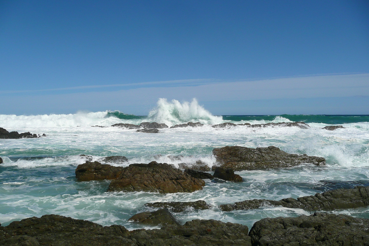 照片 南非(South Africa) 齐齐卡马国家公园(Tsitsikamma National Park) 2008-09 273