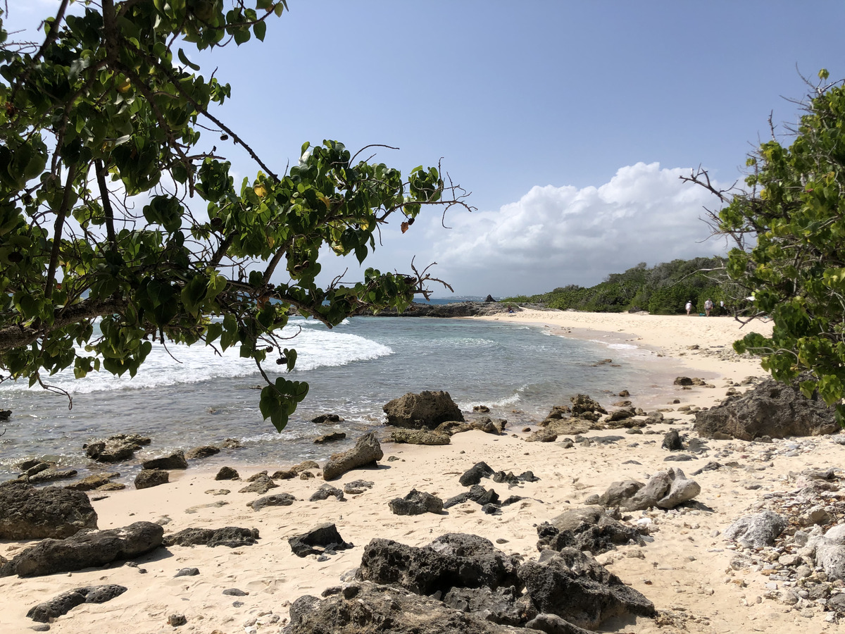 照片 瓜德罗普(Guadeloupe) 城堡角(Castle Point) 2021-02 50