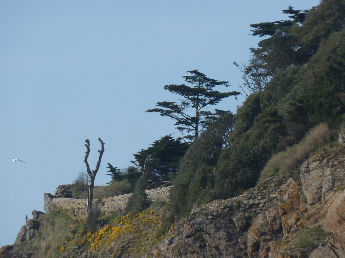 照片 法国(France) 圣库隆(St Coulomb) 迪盖克兰湾(Du Guesclin Bay) 2010-04 4