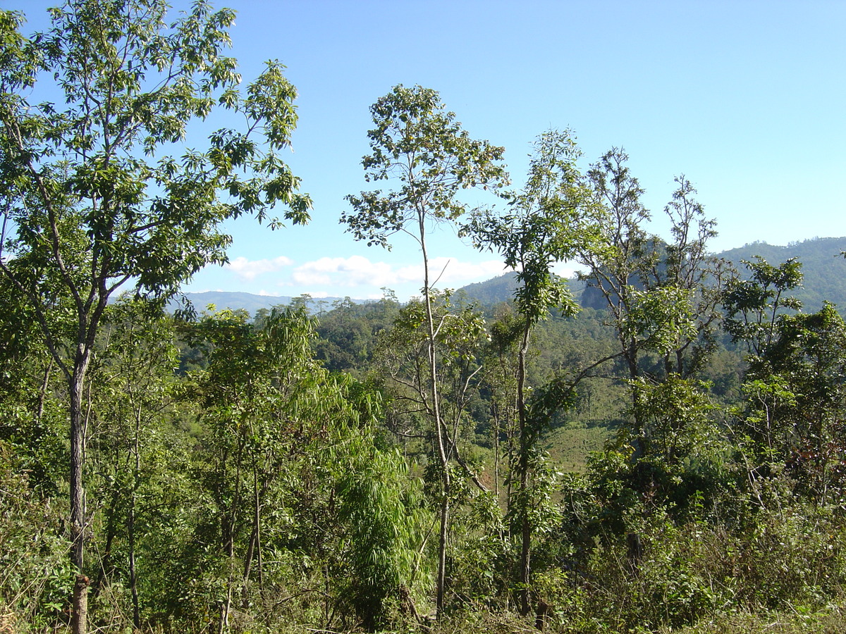 照片 泰国(Thailand) 邦玛帕(Pang Mapha) 2005-12 49