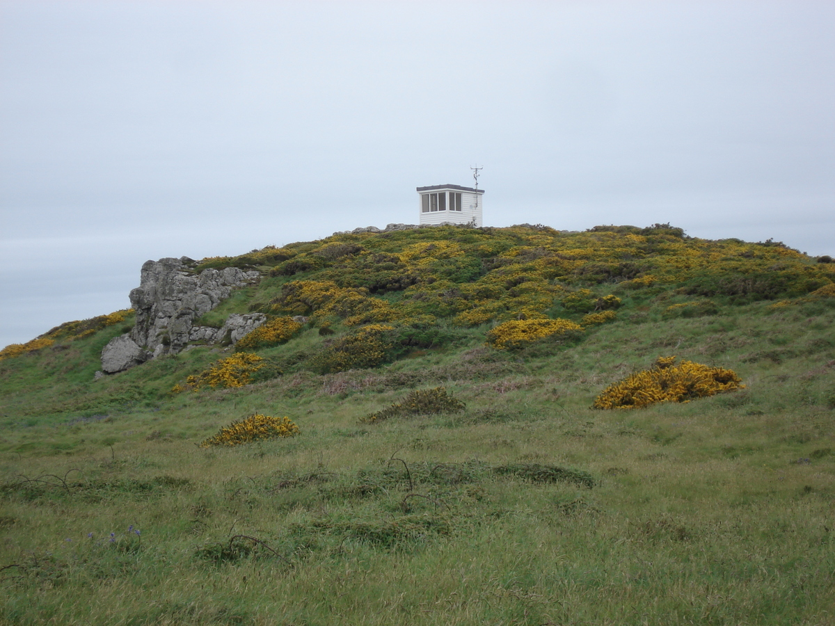 照片 英国(United Kingdom) 彭布罗克郡(Pembrokeshire) 马丁斯黑文(Martins Havens) 2006-05 7
