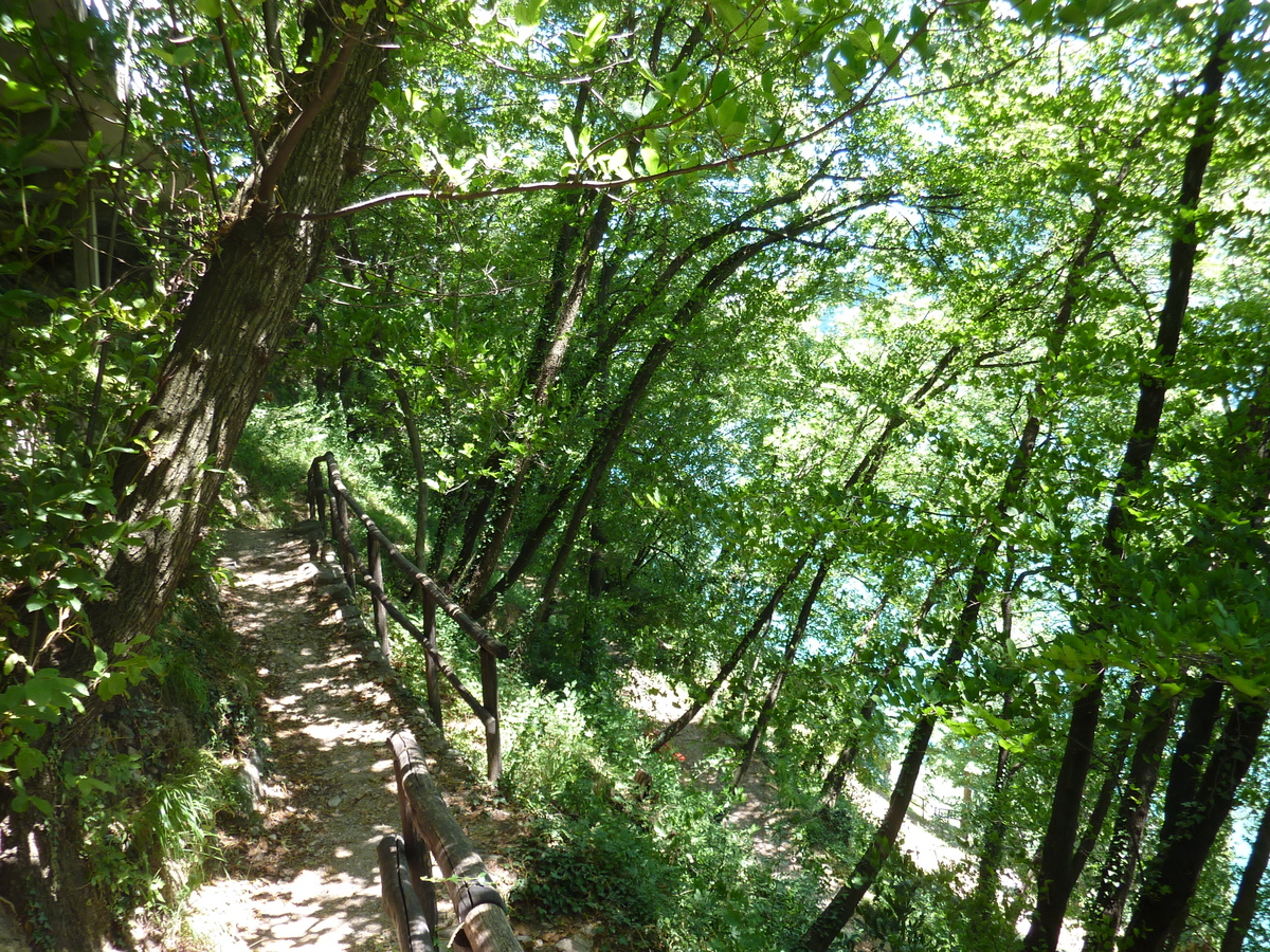 照片 瑞士(Switzerland) 甘德里亚(Gandria) 2009-06 16